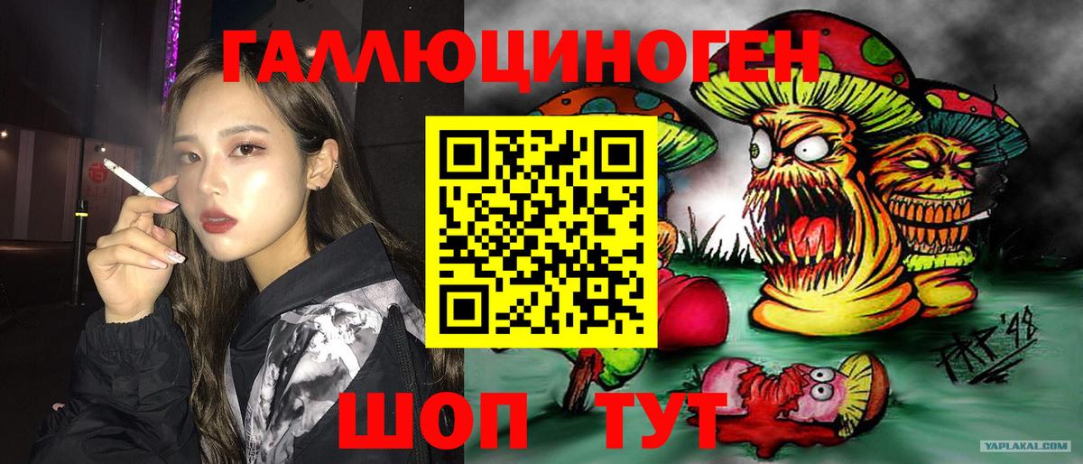 Великий Новгород  Галлюциногенные грибы Magic Shrooms  Галлюциногенные грибы прущие грибы  закладки  Вход с VPN 